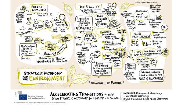 Graphic Recording of Panel 3 - Strategic Autonomy and the Environment