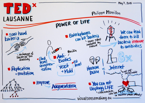 Recording of Philippe Moreillon's talk.